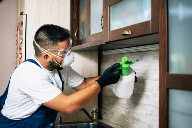 Best Residential Pest Control  in East Cleveland, TN