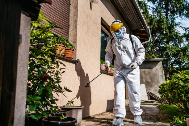 Best Wasp Removal Services  in East Cleveland, TN