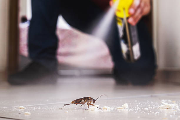 Best Pest Control for Homes  in East Cleveland, TN
