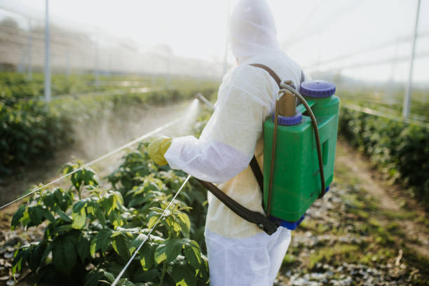 Best Wildlife Control Services  in East Cleveland, TN